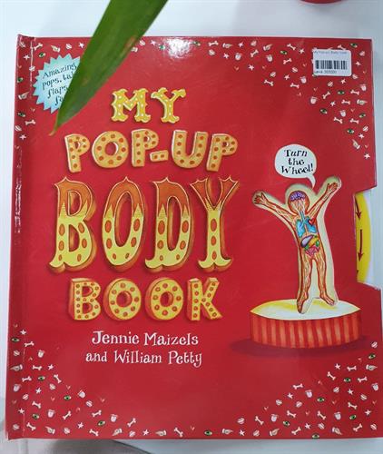 My Pop-up  Body book