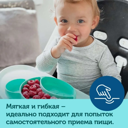 Canpol babies 51/401_pin Силиконовая тарелочка с  секциями BEAR (розовая)