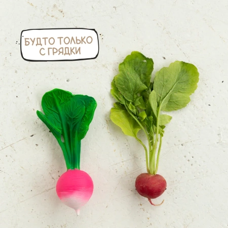 OLI&CAROL RAMONA THE RADISH,игрушка-прорезыватель
