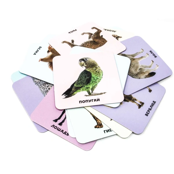 Набор карточек Проф-Пресс Умный чемоданчик В мире животных